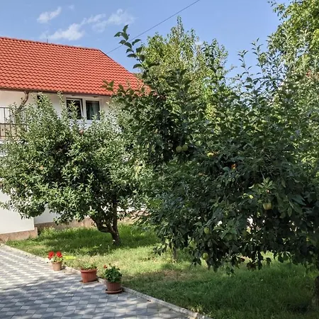 Guest house Casa Sommer